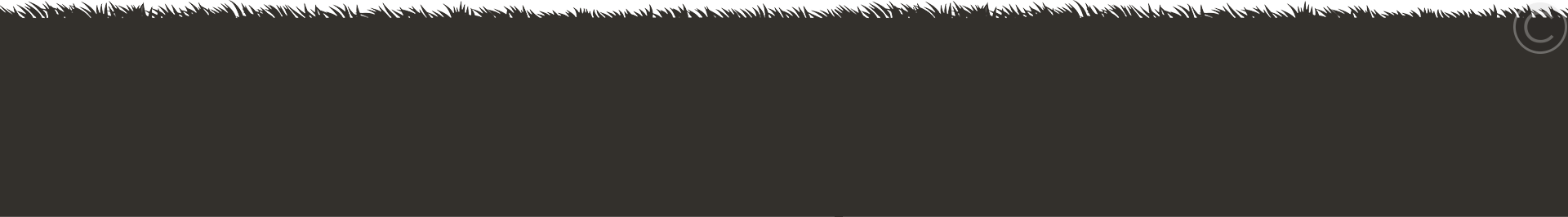 bg-5