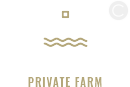 logo-1