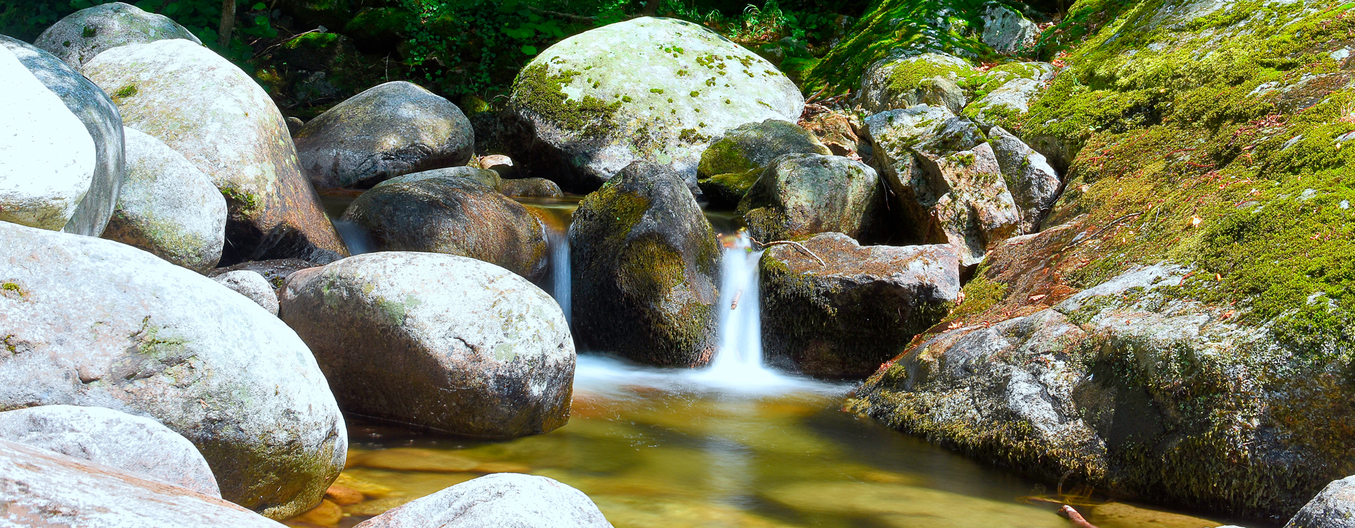 slider_2