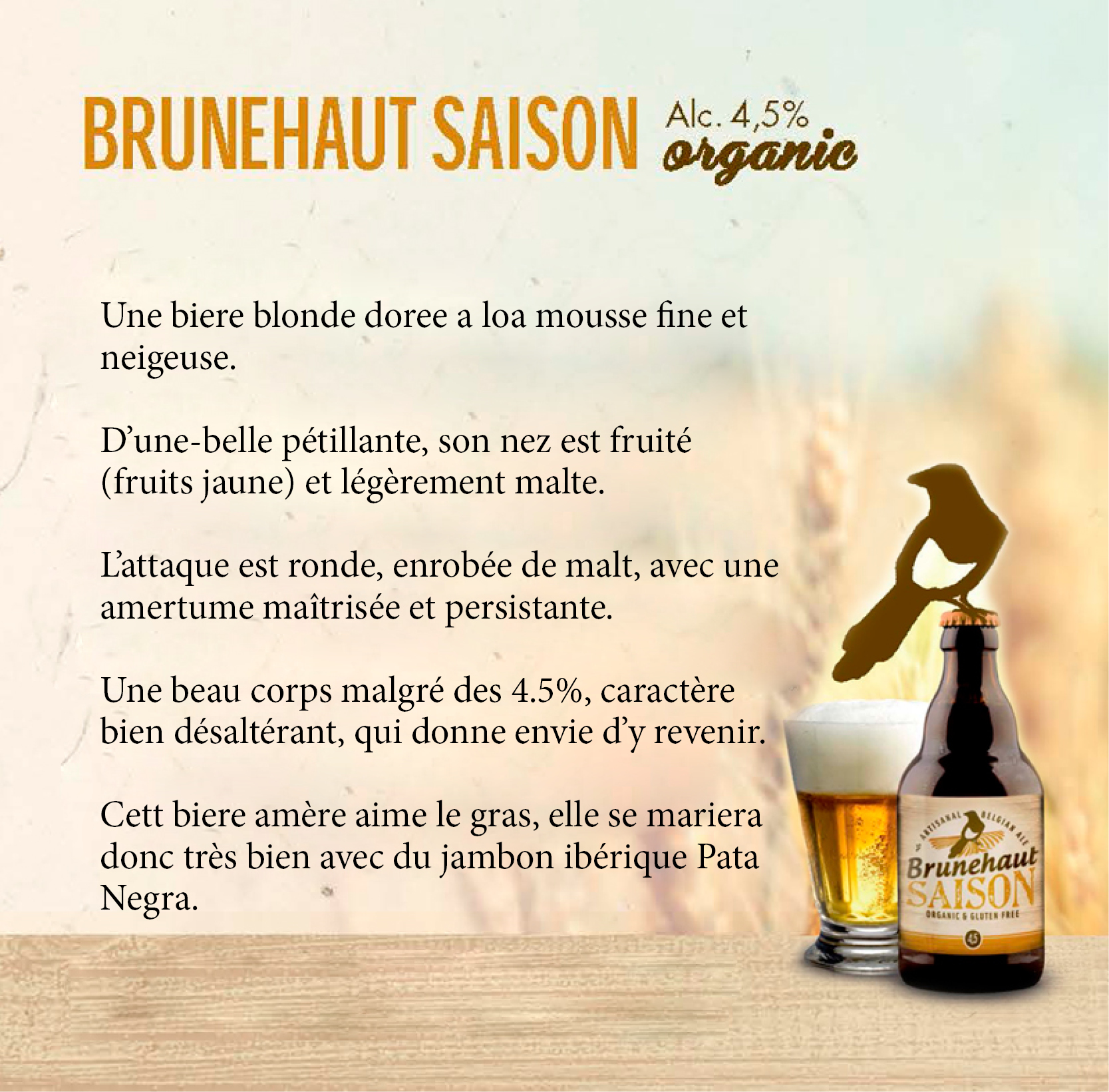 brunehaut saison