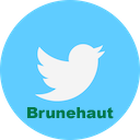 TwitterBrunehaut Web