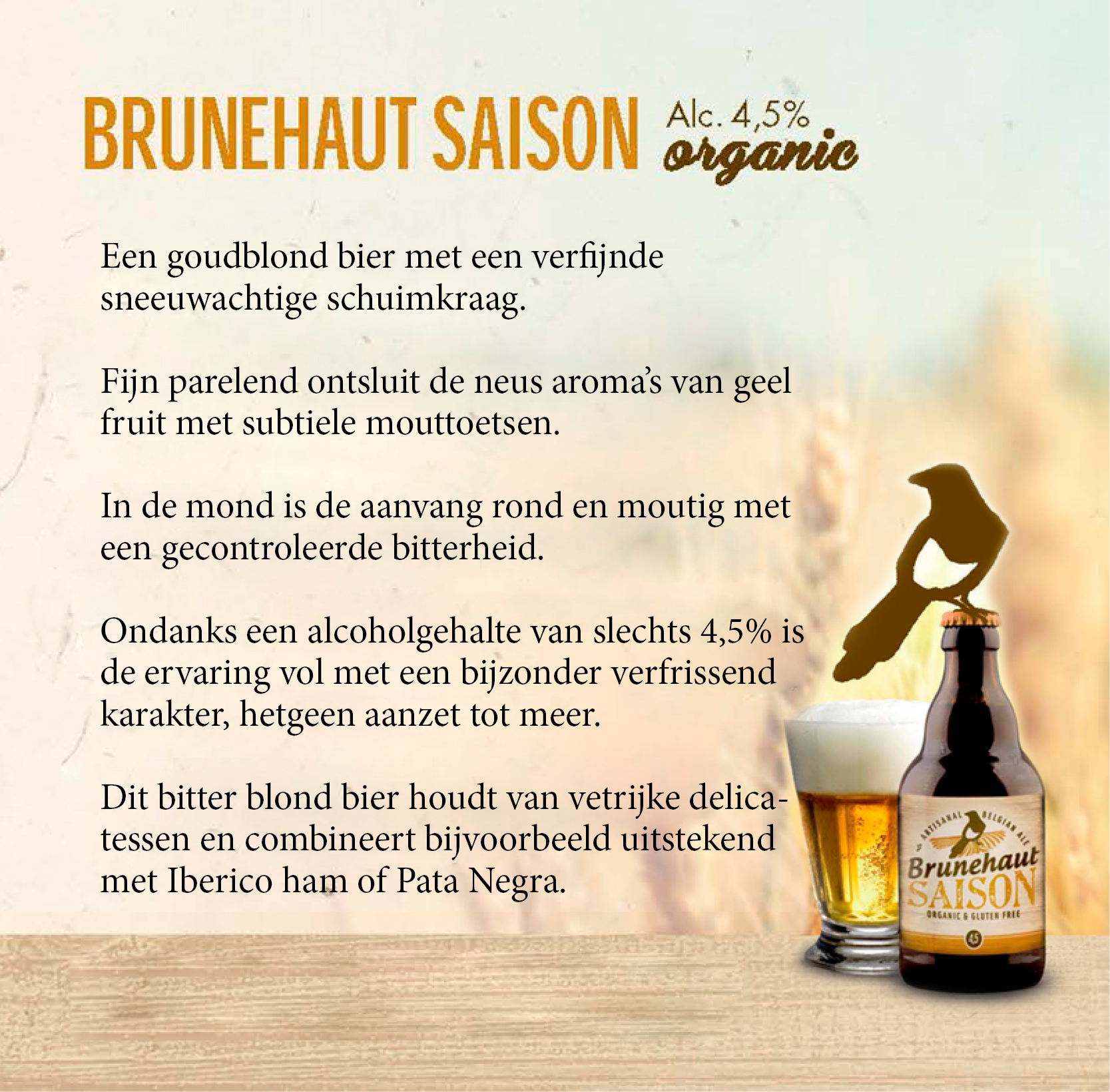 Brunehaut saison
